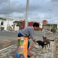 photo de livraison pour 4 Pattes Mogador