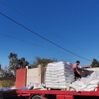 photo de livraison pour 4 Pattes Mogador