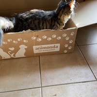 photo de livraison pour CATS