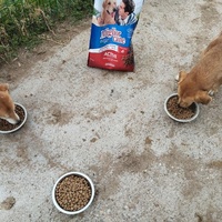 photo de livraison pour Sapa u srcu