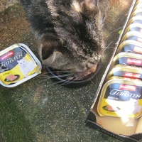 photo de livraison pour Au Bonheur des Chats Libres