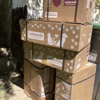 photo de livraison pour Cosette