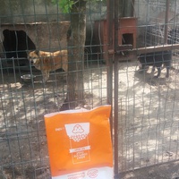 photo de livraison pour Speranta Pentru Animale