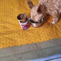 photo de livraison pour AVRAH