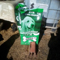 photo de livraison pour Serbian Society for the Protection of Animals - SSPA