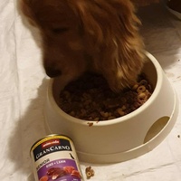 photo de livraison pour AVRAH