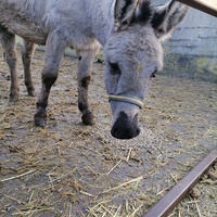 photo de livraison pour Au Bonheur Animal