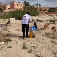photo de livraison pour L'Arche de Noé
