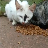 photo de livraison pour Samantha Réaux