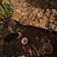 photo de livraison pour Les Chats de Dugny