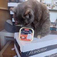 photo de livraison pour CAPPA