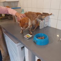 photo de livraison pour L'école du Chat d'Ollioules