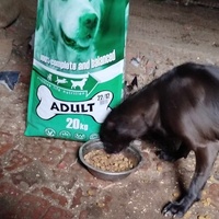 photo de livraison pour Beta Zajecar