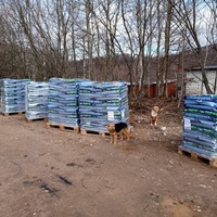 photo de livraison pour Silver Dog Srebrenica