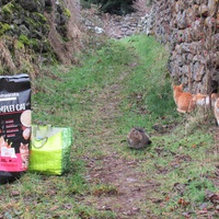 photo de livraison pour Jardin des Chats