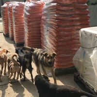 photo de livraison pour Saving Orphaned Souls Sheila's Animal Rescue Mission
