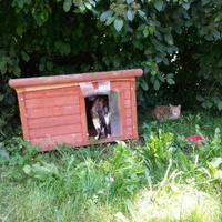 photo de livraison pour Chaperlipopette 77
