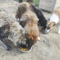 photo de livraison pour Svetlana Bjelogrlic