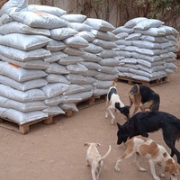 photo de livraison pour Help Adopt Moroccan Animals