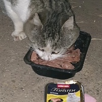 photo de livraison pour Dans les yeux de Leo