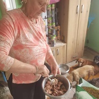 photo de livraison pour ПРИХВАТИЛИШТЕ ДРАЖЕВАЦ