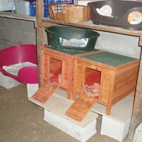 photo de livraison pour Protection Animale Berroise