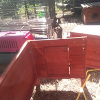 photo de livraison pour Poils de Tendresse