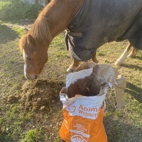 photo de livraison pour Espoir au Galop