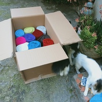 photo de livraison pour Les chats libres de Caro