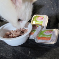 photo de livraison pour Jardin des Chats