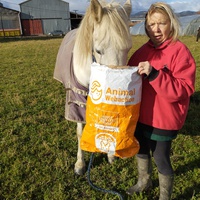 photo de livraison pour Hearthland Royal Horse