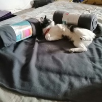 photo de livraison pour L'Espoir d'une Seconde Chance