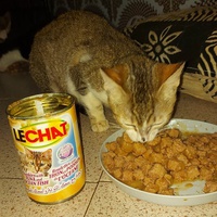photo de livraison pour Samantha Réaux