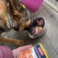 photo de livraison pour L'Esperanza