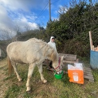photo de livraison pour La Retraite des Chevaux des Causses