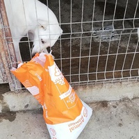 photo de livraison pour Sammelstelle für Tiere in Not e.V.