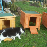 photo de livraison pour Au Paradis Des Chats