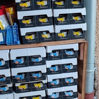 photo de livraison pour L'Arche de Ploum