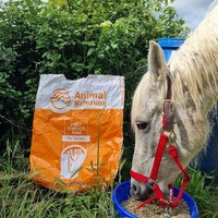photo de livraison pour La Retraite des Chevaux des Causses