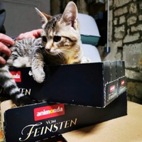 photo de livraison pour Les Chats Libres de Joinville