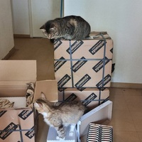 photo de livraison pour Chats Libres des Hauts Cantons de l'Hérault