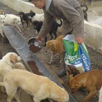 photo de livraison pour PAT