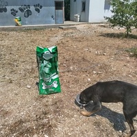 photo de livraison pour Beta Zajecar