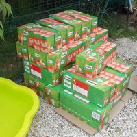 photo de livraison pour Les Copains Félins