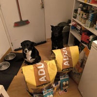 photo de livraison pour Programme alimentaire Animal Webaction