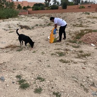 photo de livraison pour L'Arche de Noé