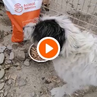 photo de livraison pour Asociația Hăpluț și prietenii