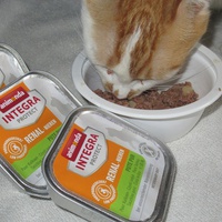photo de livraison pour Jardin des Chats
