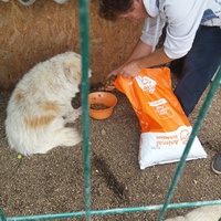 photo de livraison pour Innocente