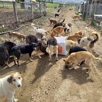 photo de livraison pour Sanctuaire de la Faune de Tanger (SFT)